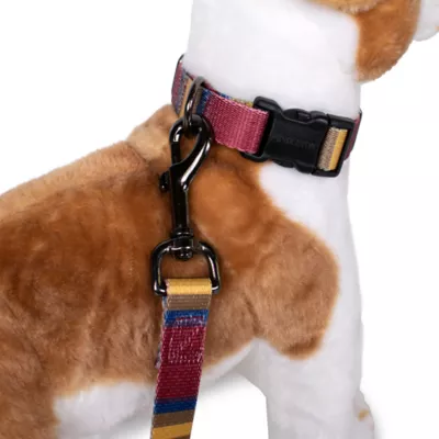 Product Pendleton Zion National Park Adventure Dog Leash; 6-ft long