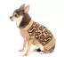 Pendleton Classics Westerly Dog Sweater image thumbnail 1