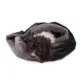 Product Carolina Pet Transformer Dog Bed