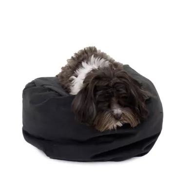 Product Carolina Pet Transformer Dog Bed