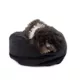Product Carolina Pet Transformer Dog Bed