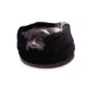 Product Carolina Pet Transformer Dog Bed