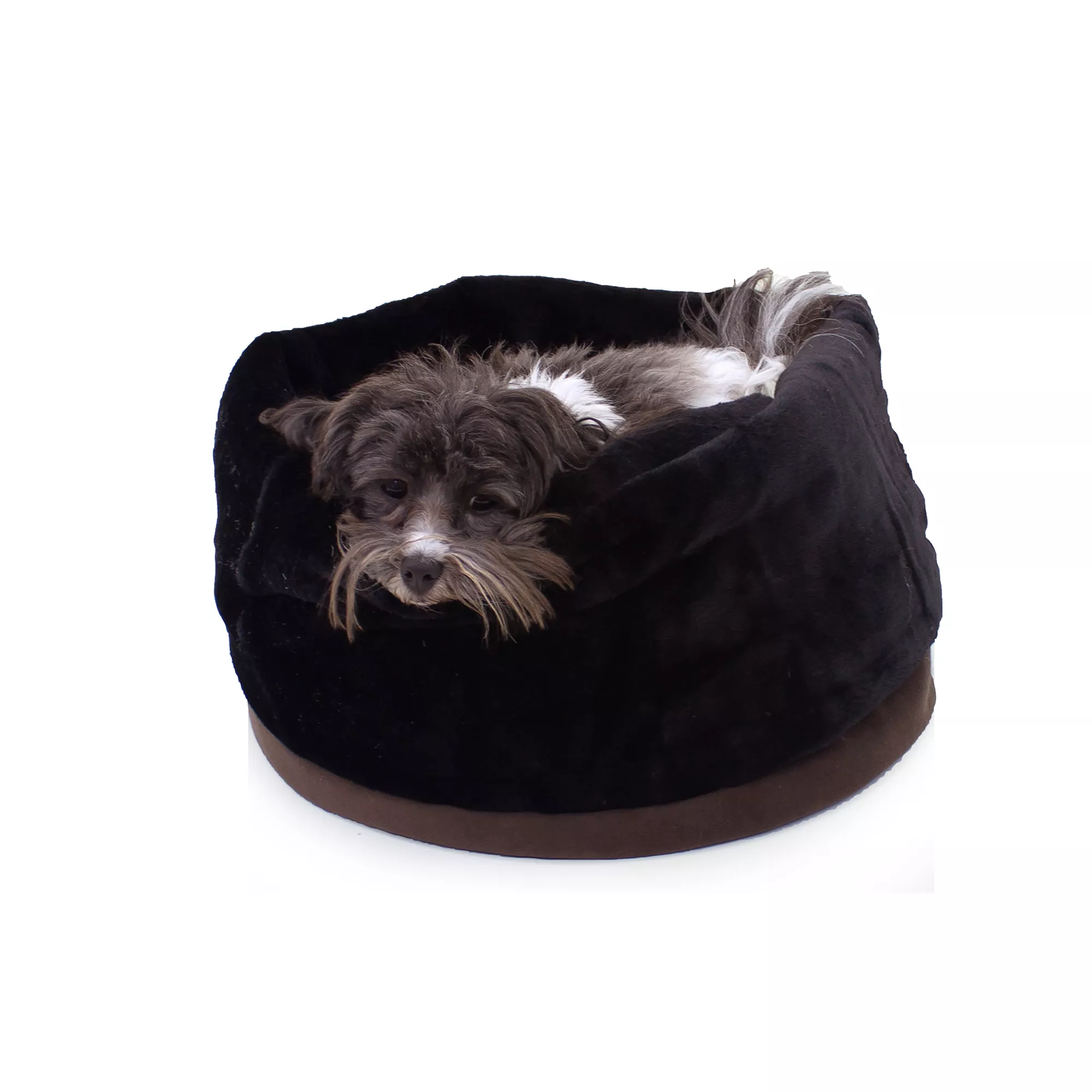 Carolina Pet Transformer Dog Bed