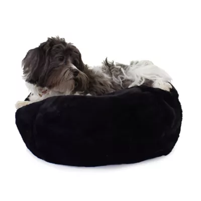 Product Carolina Pet Transformer Dog Bed