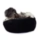 Product Carolina Pet Transformer Dog Bed