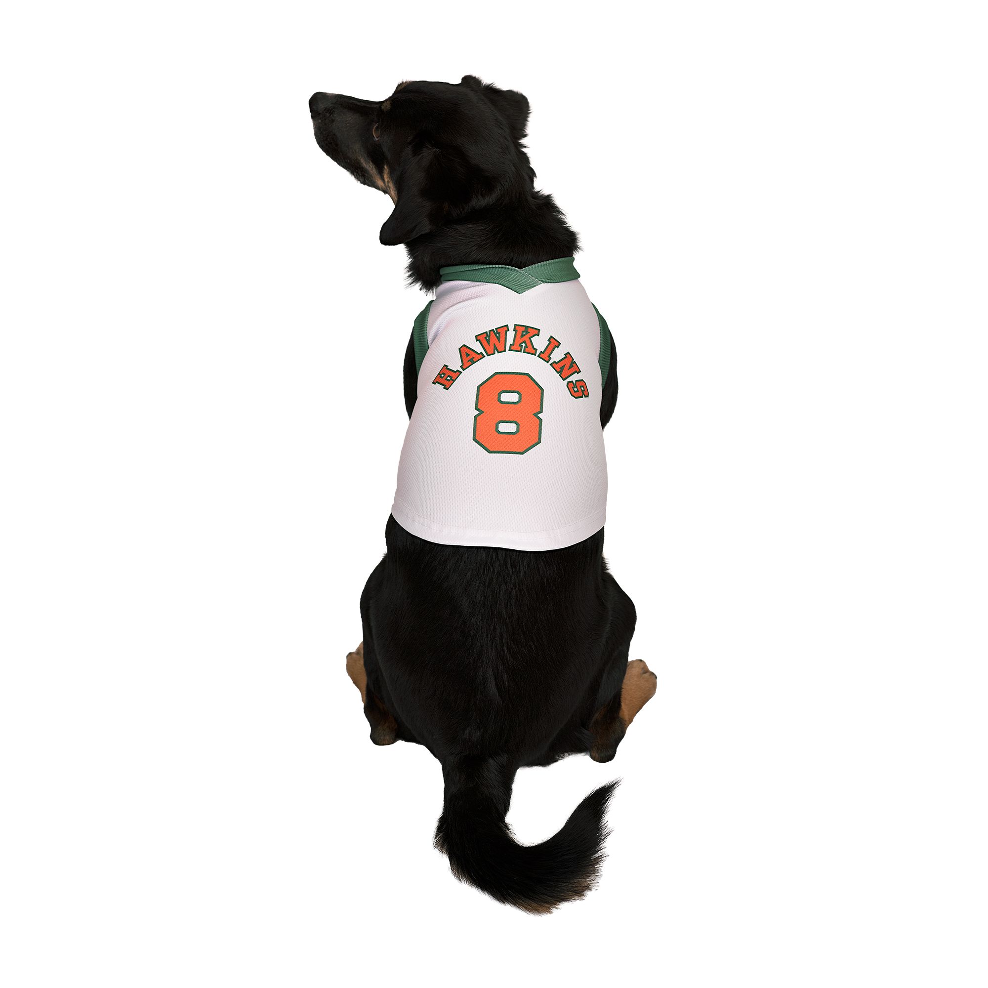 Boston Celtics Dog Jersey