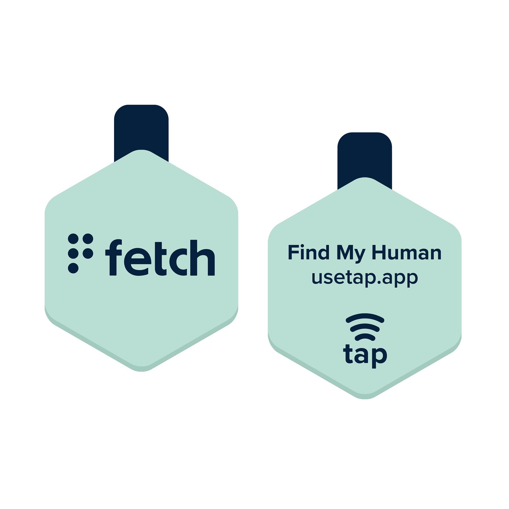 Lifekey Digital Dog ID Tag dog ID Tags PetSmart