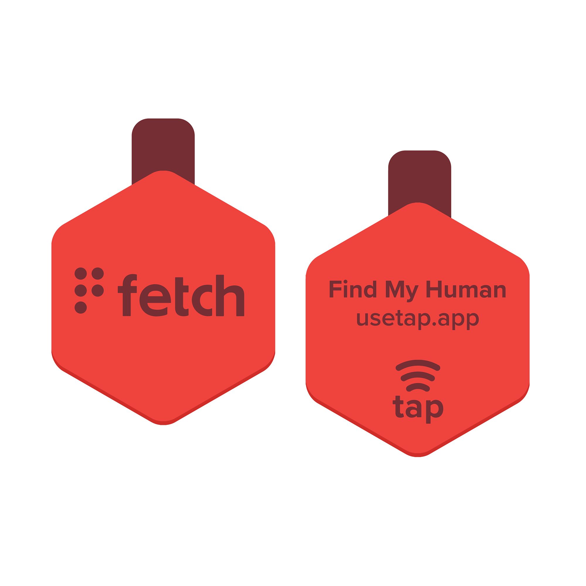 Petsmart engraved outlet tags