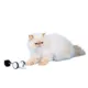 Product Instachew Purechase Smart Mouse (App Enabled)