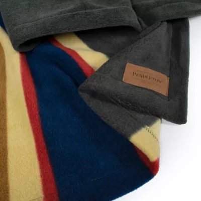 Product Pendleton Badlands National Park Pet Throw