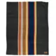 Product Pendleton Badlands National Park Pet Throw