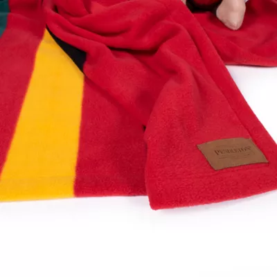 Product Pendleton Mount Rainier National Park Pet Throw