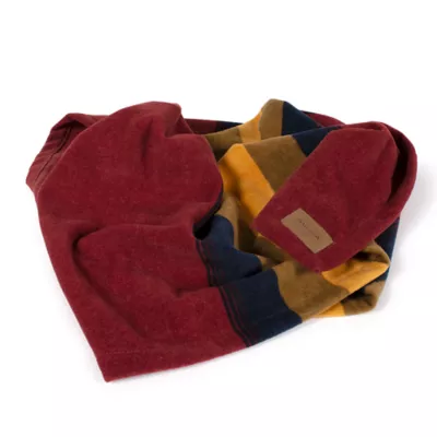 Product Pendleton Zion National Park Pet Throw