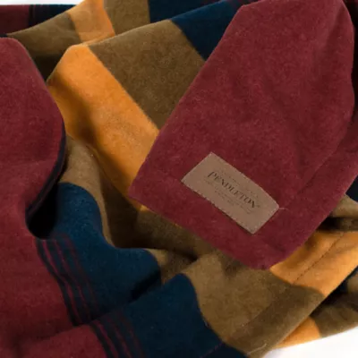 Product Pendleton Zion National Park Pet Throw