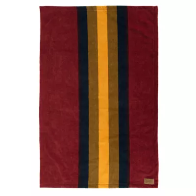 Product Pendleton Zion National Park Pet Throw