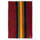 Product Pendleton Zion National Park Pet Throw