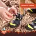 Arcadia Trail™ Year-Round All-Terrain Dog Booties image thumbnail 3