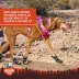 Arcadia Trail™ Year-Round All-Terrain Dog Booties image thumbnail 7