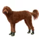 Product Arcadia Trail™ Year-Round All-Terrain Dog Boots