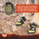 Product Arcadia Trail™ Year-Round All-Terrain Dog Boots