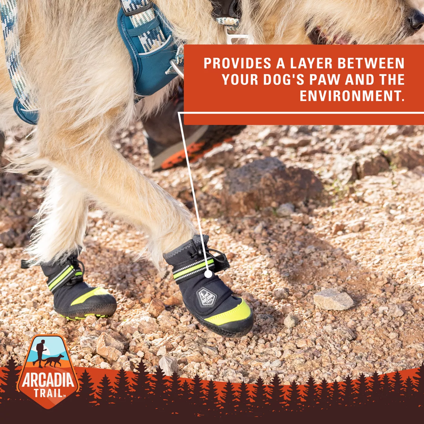 Arcadia Trail Year Round All Terrain Dog Boots