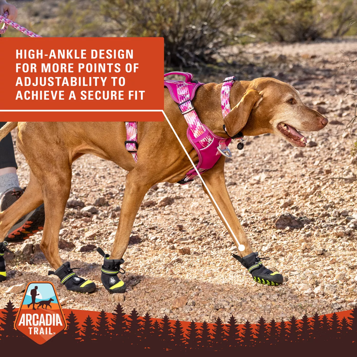 Arcadia Trail Year Round All Terrain Dog Boots