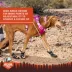Arcadia Trail™ Year-Round All-Terrain Dog Boots image thumbnail 7