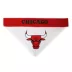 Pets First Chicago Bulls Reversible Bandana image thumbnail 3