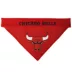 Pets First Chicago Bulls Reversible Bandana image thumbnail 2