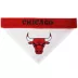 Pets First Chicago Bulls Reversible Bandana image thumbnail 3