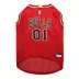 Pets First Chicago Bulls Mesh Jersey image thumbnail 1