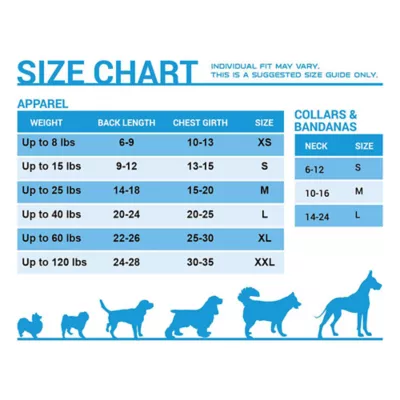 Pets First Golden State Warriors Tee - Image 2