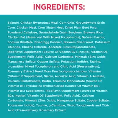 IAMS™ Proactive Health Indoor Adult Dry Cat Food - Salmon - Image 3