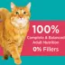 IAMS™ Proactive Health Indoor Adult Dry Cat Food - Salmon image thumbnail 5