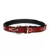 Pets First Chicago Bears Signature Pro Dog Collar image thumbnail 2