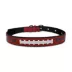Pets First Denver Broncos Signature Pro Dog Collar image thumbnail 1