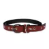 Pets First Denver Broncos Signature Pro Dog Collar image thumbnail 2