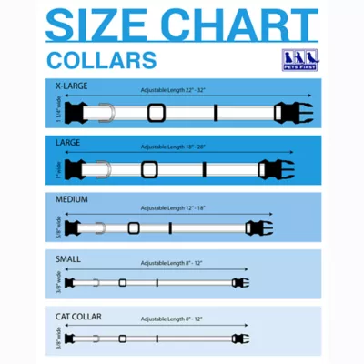 Pets First Los Angeles Clippers Dog Collar - Image 2