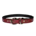 Pets First New Orleans Saints Signature Pro Dog Collar image thumbnail 2