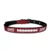 Pets First New York Giants Signature Pro Dog Collar image thumbnail 1