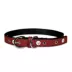 Pets First Pittsburgh Steelers Signature Pro Dog Collar image thumbnail 2