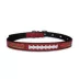 Pets First San Francisco 49ers Signature Pro Dog Collar image thumbnail 1