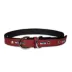 Pets First Seattle Seahawks Signature Pro Dog Collar image thumbnail 2