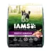 IAMS™ Advanced Health Adult Dry Dog Food - Chicken image thumbnail 1