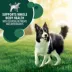 IAMS™ Advanced Health Adult Dry Dog Food - Chicken image thumbnail 5