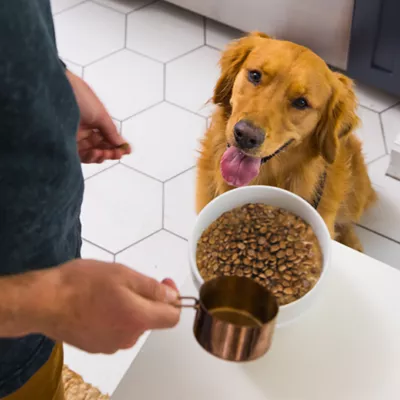 Product Nulo MedalSeries Baked & Brothy Puppy Dry Dog Food - Turkey, Chicken & Duck