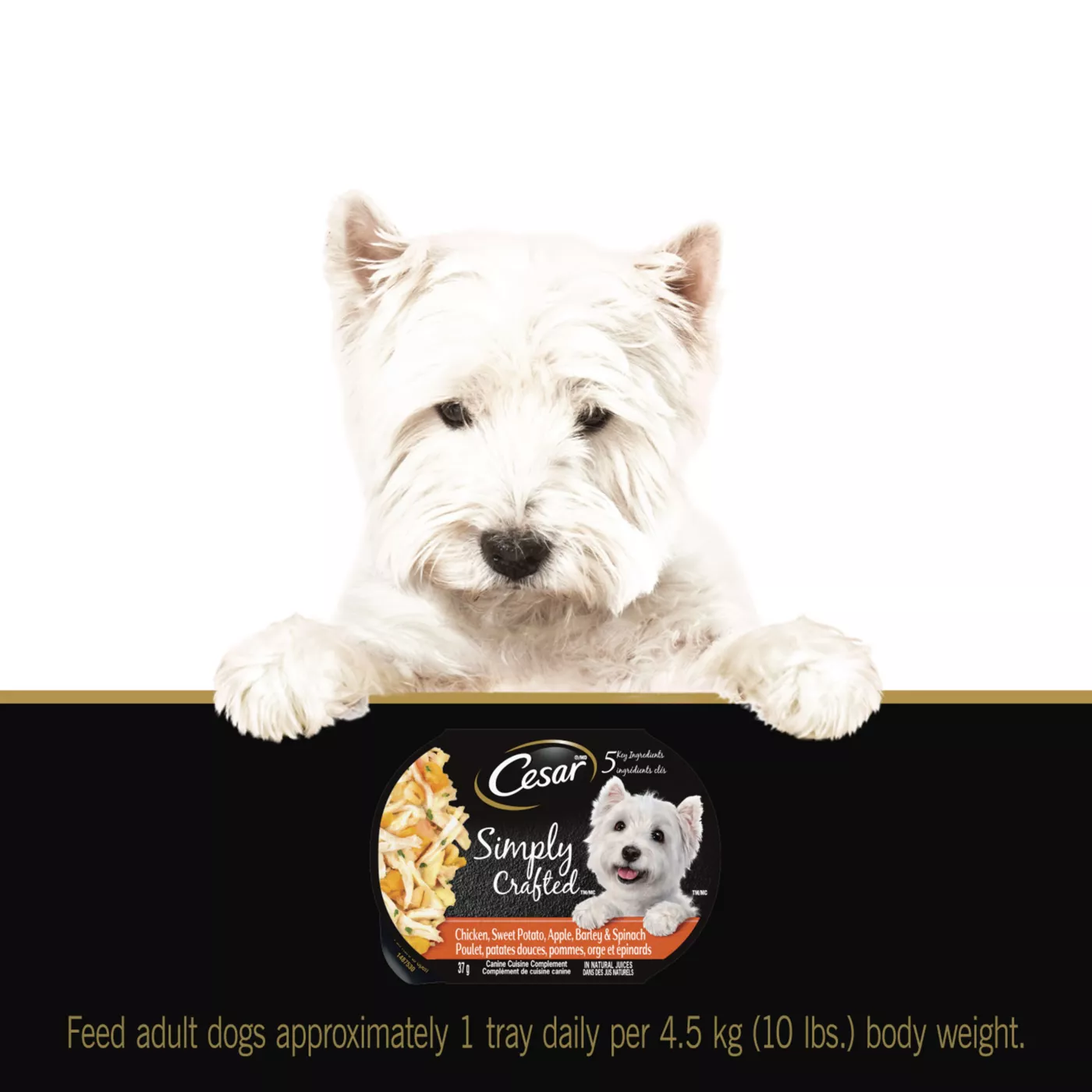 Cesar Simply Crafted Adult Wet Dog Food Meal Topper Grain Free