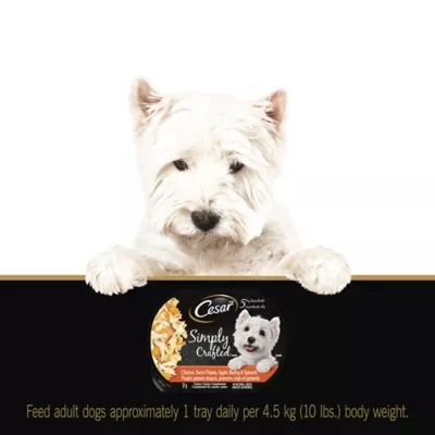 Product Cesar® Simply Crafted Adult Wet Dog Food & Meal Topper - Grain Free,