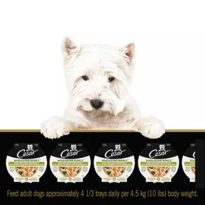 Product Cesar Wholesome Bowls Adult Wet Dog Food Chicken & Beef Variety Pack, 6ct