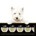 Cesar Wholesome Bowls Adult Wet Dog Food Chicken & Beef Variety Pack, 6ct image thumbnail 2